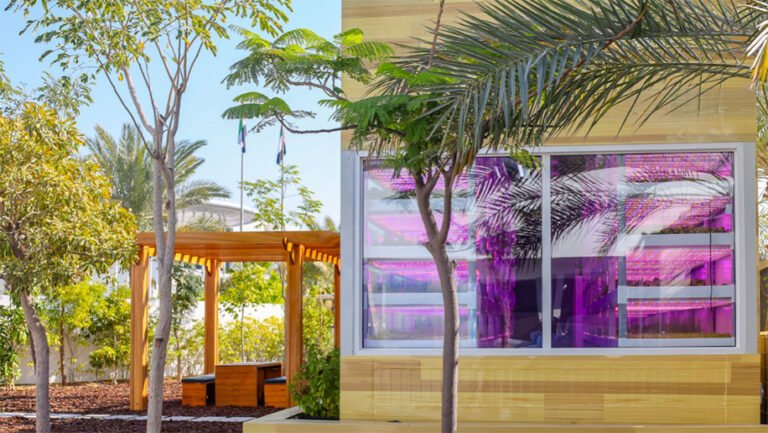 Jumeirah at Saadiyat Island Resort installs hydroponic farm – Business Traveller