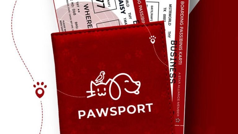 Turkish Airlines creates revolutionary pet passport – Business Traveller